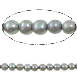 Perles de nacre rondes de culture d'eau douce, perle d'eau douce cultivée, naturel, gris, grade A, 6-7mm Environ 0.8mm pouce, Vendu par brin