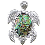 Abalone Shell Pendants, Brass, with Abalone Shell, Turtle, platinum color plated, with rhinestone Approx 