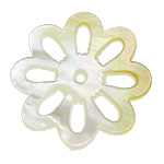 White Shell Cabochon, Flower, flat back & hollow, white 