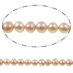Potato Cultured Freshwater Pearl Beads, natural, purple, Grade AA, 6-7mm Approx 0.8mm .5 Inch 