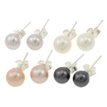 Freshwater Pearl Stud Earring, brass post pin, silver color plated, mixed colors, 6-7mm 