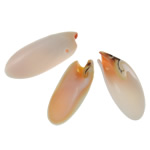 Natural Freshwater Shell Pendants, Trumpet Shell, mixed 4- Approx 1mm, Approx 
