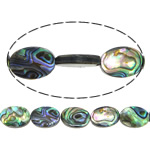 Abalone Shell Beads, Flat Oval Approx 0.8mm Approx 16 Inch, Approx 