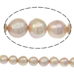 Freshwater Cultured Nucleated Pearl Beads, Cultured Freshwater Nucleated Pearl, Round, natural, light purple, 10-12mm Approx 0.8mm Approx 15.7 Inch 