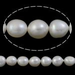 Barock kultivierten Süßwassersee Perlen, Natürliche kultivierte Süßwasserperlen, natürlich, weiß, 13-14mm, Bohrung:ca. 0.8mm, Länge:ca. 15.7 ZollInch, verkauft von kg