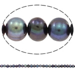 Perlas Patata Freshwater, Perlas cultivadas de agua dulce, natural, Púrpura, Grado A, 5-6mm, agujero:aproximado 0.8mm, longitud:aproximado 15 Inch, Vendido por Sarta