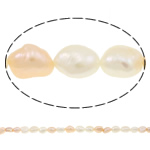 Perles nacres baroques de culture d'eau douce , perle d'eau douce cultivée, naturel, rose, 7-8mm Environ 0.8mm Environ 15.5 pouce, Vendu par brin