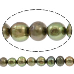 Potato Cultured Freshwater Pearl Beads, green, 10-11mm Approx 0.8mm Approx 14.3 Inch 