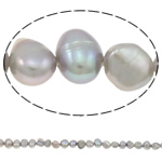Perles nacres baroques de culture d'eau douce , perle d'eau douce cultivée, gris, grade A, 6-7mm Environ 0.8mm Environ 15 pouce, Vendu par brin