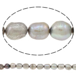 Perles nacres baroques de culture d'eau douce , perle d'eau douce cultivée, naturel, gris, grade A, 11-12mm Environ 0.8mm Environ 15 pouce, Vendu par brin