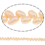 Rice Cultured Freshwater Pearl Beads, natural, pink, Grade A, 5-6mm Approx 0.8mm Approx 15.3 Inch 