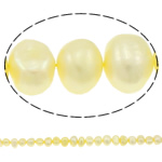 Perles nacres baroques de culture d'eau douce , perle d'eau douce cultivée, Jaune, 7-8mm Environ 0.8mm Environ 14.5 pouce, Vendu par brin
