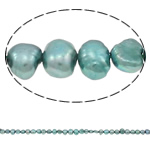 Perles nacres baroques de culture d'eau douce , perle d'eau douce cultivée, bleu, grade A, 5-6mm Environ 0.8mm Environ 15 pouce, Vendu par brin