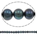Potato Cultured Freshwater Pearl Beads, dark purple, 10-11mm Approx 0.8mm Approx 14.5 Inch 