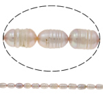 Rice Cultured Freshwater Pearl Beads, natural, light purple, Grade A, 7-8mm Approx 0.8mm Approx 14.5 Inch 