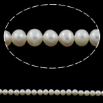 Potato Cultured Freshwater Pearl Beads, natural, white, 5-6mm Approx 0.8mm Approx 15.5 Inch 