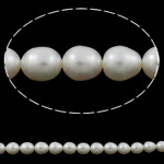 Rice Cultured Freshwater Pearl Beads, natural, white, Grade AA, 8-9mm Approx 0.8mm Approx 15 Inch 