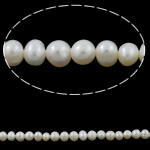 Perle comme Pommes de terre perles d'eau douce, perle d'eau douce cultivée, pomme de terre, naturel, blanc, grade A, 5-6mm Environ 0.8mm Environ 14.5 pouce, Vendu par brin