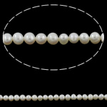 Perle comme Pommes de terre perles d'eau douce, perle d'eau douce cultivée, pomme de terre, naturel, blanc, grade A, 5-6mm Environ 0.8mm Environ 15.5 pouce, Vendu par brin