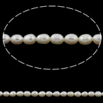 Perlas Arroz Freshwater, Perlas cultivadas de agua dulce, natural, Blanco, Grado A, 4-5mm, agujero:aproximado 0.8mm, longitud:aproximado 15 Inch, Vendido por Sarta