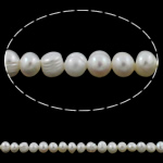 Barock kultivierten Süßwassersee Perlen, Natürliche kultivierte Süßwasserperlen, natürlich, weiß, 4-5mm, Bohrung:ca. 0.8mm, Länge:ca. 15 ZollInch, verkauft von Strang