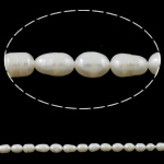 Rice Cultured Freshwater Pearl Beads, natural, white, Grade A, 6-7mm Approx 0.8mm Approx 14.5 Inch 