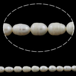 Rice Cultured Freshwater Pearl Beads, natural, white, Grade A, 8-9mm Approx 0.8mm Approx 15.5 Inch 