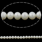 Perles de nacre rondes de culture d'eau douce, perle d'eau douce cultivée, naturel, blanc, grade A, 5-6mm Environ 0.8mm Environ 15 pouce, Vendu par brin