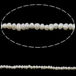 Barock kultivierten Süßwassersee Perlen, Natürliche kultivierte Süßwasserperlen, natürlich, weiß, 4-5mm, Bohrung:ca. 0.8mm, Länge:ca. 14 ZollInch, verkauft von Strang