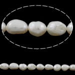 Perles nacres baroques de culture d'eau douce , perle d'eau douce cultivée, naturel, blanc, grade A, 11-12mm Environ 0.8mm Environ 14.5 pouce, Vendu par brin