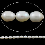 Rice Cultured Freshwater Pearl Beads, natural, white, Grade A, 9-10mm Approx 0.8mm Approx 15 Inch 
