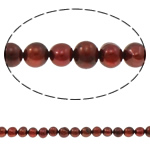 Perlas Patata Freshwater, Perlas cultivadas de agua dulce, Rojo, 6-7mm, agujero:aproximado 0.8mm, longitud:aproximado 15 Inch, Vendido por Sarta
