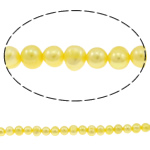 Potato Cultured Freshwater Pearl Beads, yellow, 6-7mm Approx 0.8mm Approx 14.5 Inch 