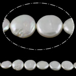 Pièce de culture des perles d'eau douce, perle d'eau douce cultivée, pièce de monnaie, naturel, blanc, 10-12mm Environ 0.8mm Environ 15 pouce, Vendu par brin