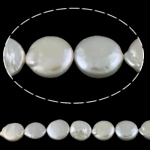 Pièce de culture des perles d'eau douce, perle d'eau douce cultivée, pièce de monnaie, naturel, blanc, 12-14mm Environ 0.8mm Environ 15.5 pouce, Vendu par brin