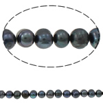 Potato Cultured Freshwater Pearl Beads, dark purple, 8-9mm Approx 0.8mm Approx 14.7 Inch 