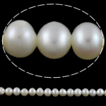 Potato Cultured Freshwater Pearl Beads, natural, white, 3-4mm Approx 0.8mm Approx 15.3 Inch 