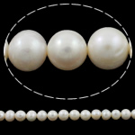 Perle comme Pommes de terre perles d'eau douce, perle d'eau douce cultivée, pomme de terre, naturel, blanc, 10-11mm Environ 0.8mm Environ 14.5 pouce, Vendu par brin
