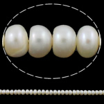 Bouton de culture des perles d'eau douce, perle d'eau douce cultivée, naturel, blanc, 6-7mm Environ 0.8mm Environ 14.5 pouce, Vendu par brin