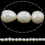 Perles nacres baroques de culture d'eau douce , perle d'eau douce cultivée, naturel, blanc, grade A, 11-12mm Environ 0.8mm Environ 15 pouce, Vendu par brin