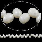 Rice Cultured Freshwater Pearl Beads, natural, white, Grade A, 7-8mm Approx 0.8mm Approx 15 Inch 