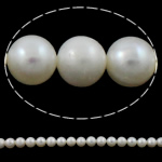 Perlas Redondas Freshwater, Perlas cultivadas de agua dulce, Esférico, natural, Blanco, 9-10mm, agujero:aproximado 0.8-1mm, longitud:aproximado 15.3 Inch, Vendido por Sarta
