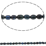 Rice Cultured Freshwater Pearl Beads, natural, dark purple, Grade A, 4-5mm Approx 0.8mm Approx 14.5 Inch 