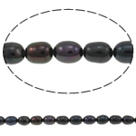 Rice Cultured Freshwater Pearl Beads, natural, dark purple, Grade A, 5-6mm Approx 0.8mm Approx 14.5 Inch 