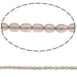 Rice Cultured Freshwater Pearl Beads, natural, light purple, Grade A, 3-4mm Approx 0.8mm Approx 15.7 Inch 
