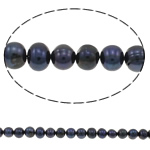 Potato Cultured Freshwater Pearl Beads, black, Grade A, 5-6mm Approx 0.8mm Approx 14.5 Inch 