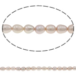Rice Cultured Freshwater Pearl Beads, natural, light purple, Grade A, 4-5mm Approx 0.8mm Approx 14.5 Inch 
