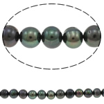 Potato Cultured Freshwater Pearl Beads, black, Grade A, 9-10mm Approx 0.8mm Approx 14 Inch 