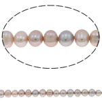 Potato Cultured Freshwater Pearl Beads, natural, pink, 7-8mm Approx 0.8mm Approx 14 Inch 