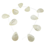 Natural White Shell Beads, Teardrop Approx 1mm Approx 15 Inch 